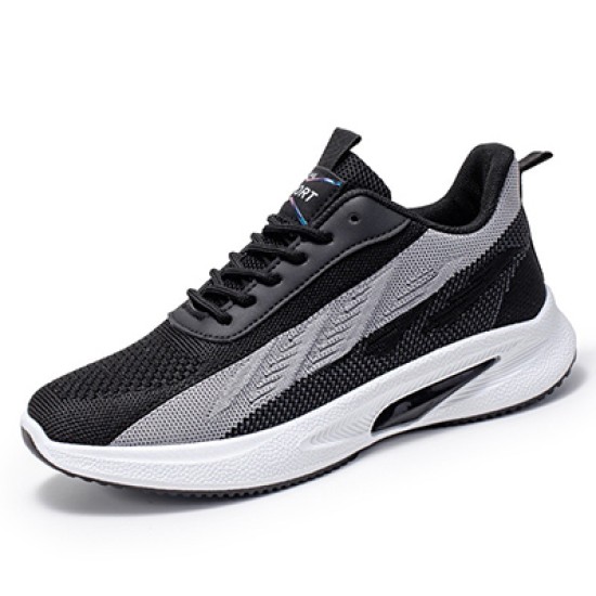 shoe shoe