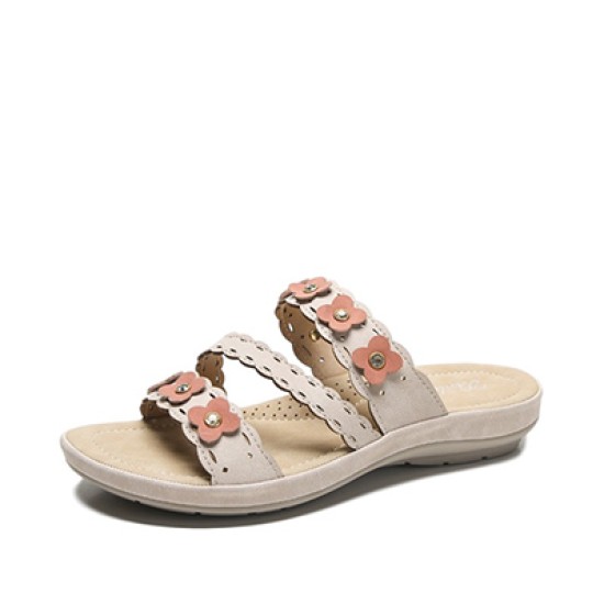 shoe shoe